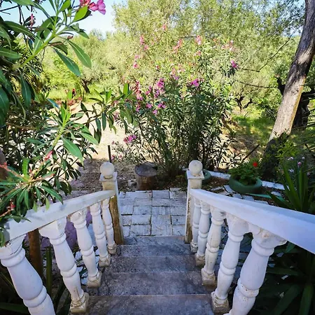 Charming Just Steps From Everything Semesterbostad